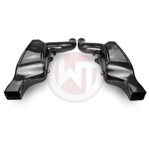 Mercedes-Benz AMG GT Performance Air Intake - Wagner Tuning - Carbon 102mm - `15-`27